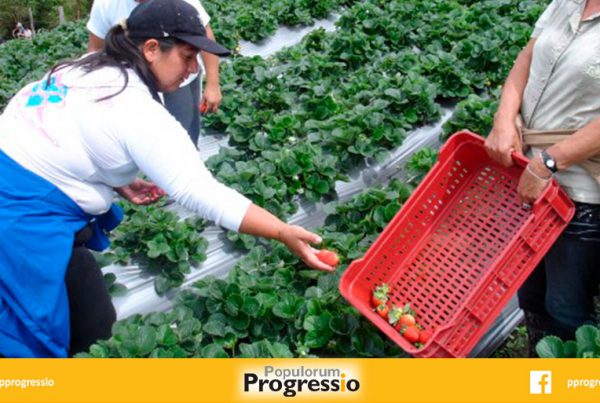 MUJERES CAMPESINAS LIDERAN EXITOSAS EMPRESAS